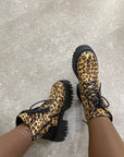 Anfibio animalier